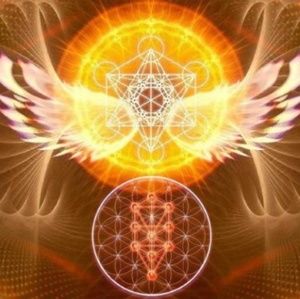 Meet your Posher, Genesee